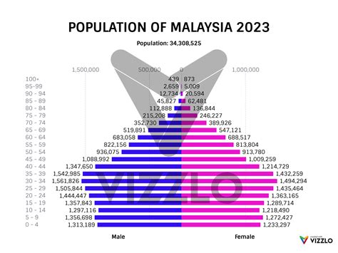 Malaysia Demographics 2023 (Population, Age, Sex, .